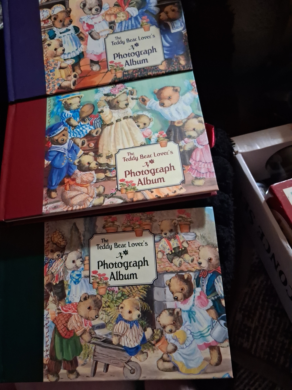 Teddy Bear Lover's Photograph Album Set - Multicolor Covers